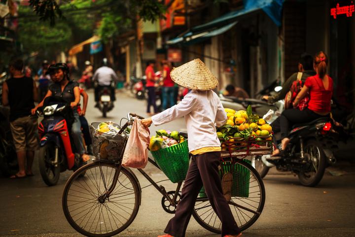 Mỹ Tâm: Họa mi tóc nâu và mối quan hệ với học trò