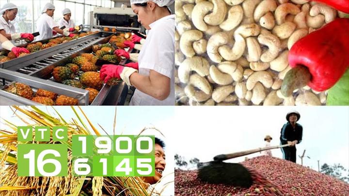 Tiêu đề: [Hotspot Matrix] Xu hướng mỹ phẩm và nội dung video: Hannah Olala, một phụ