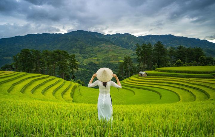 Từ Có 1 kiểu áo quốc dân, dù đến chiến lược content: Hotspot Matrix chia sẻ