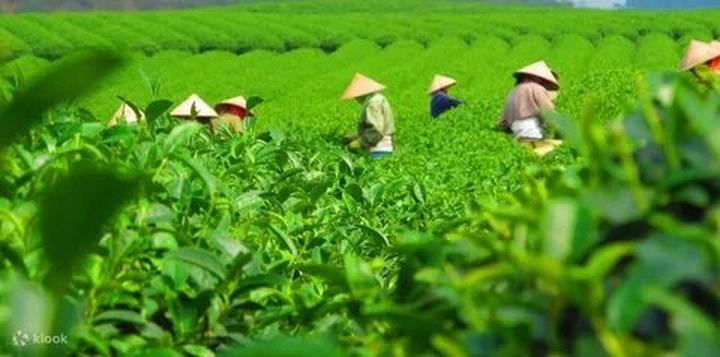 Trong những năm gần đây, xu hướng về thể thao và sức khỏe ngày càng trở nên
