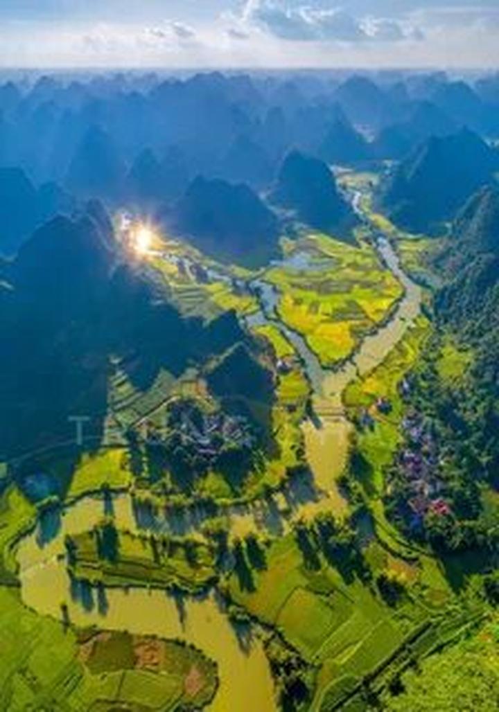 Áo sơ mi cổ bèo: Áo sơ mi cổ bèo là một trong những lỗi thời trong thời trang mà