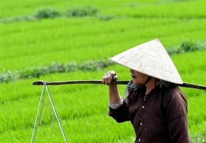 Hotspot Matrix: Đòn bẩy thành công cho Startup của bạn