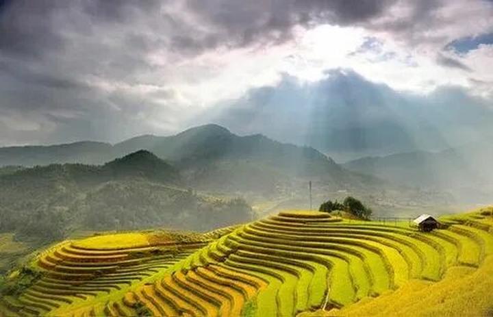 3 kiểu giày